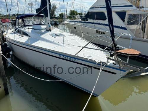 Hunter 70 opinie i specyfikacja